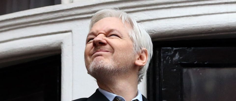 Julian Assange Getty Images/Carl Court