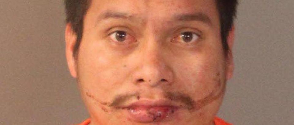 Yonel Hernandez Velasco:Placer County Sheriff's Office:Mug Shot