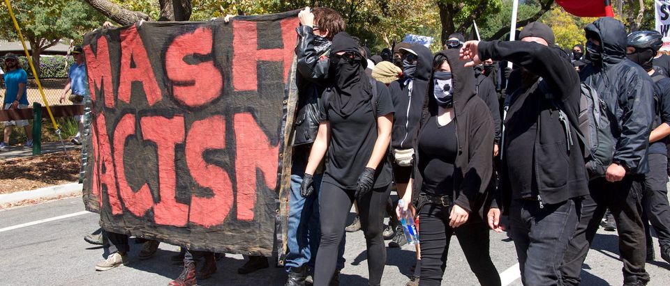 Antifa, rather than white supremacists, posed "the greatest threat to public safety" at a Republican event featuring conservative commentator Ann Coulter, according to Department of Homeland Security (DHS) documents Muckrock published Monday.(Shutterstock/Sheila Fitzgerald)