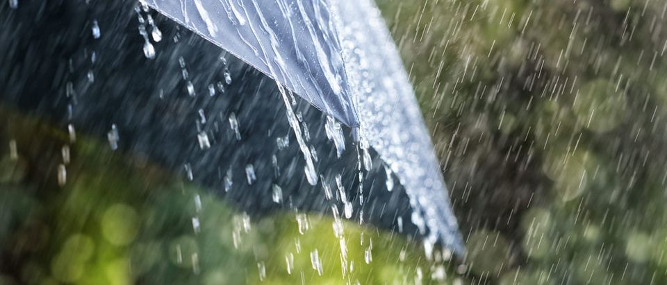 Rain (Photo via Shutterstock)