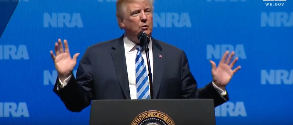 Screen Shot/Donald Trump/Youtube/NRA Speech | Trump Defends Manafort In NRA Speech