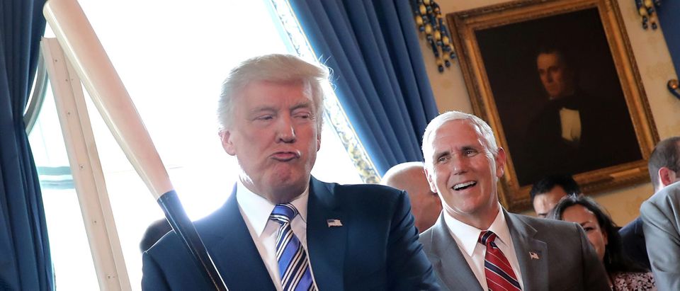 Vice President Mike Pence laughs as U.S. President Donald Trump holds a baseball bat as they attend a Made in America product showcase event at the White House in Washington, U.S., July 17, 2017. REUTERS/Carlos Barria