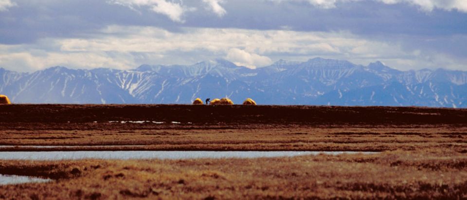 Bird research camp is seen within the 1002 Area of the Arctic National Wildlife Refuge