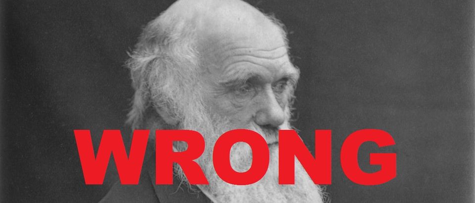 Charles Darwin public domain