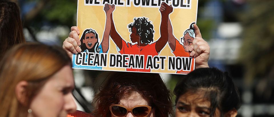 Immigration Activists In Florida Rally For DREAM Act At Marco Rubio's Office