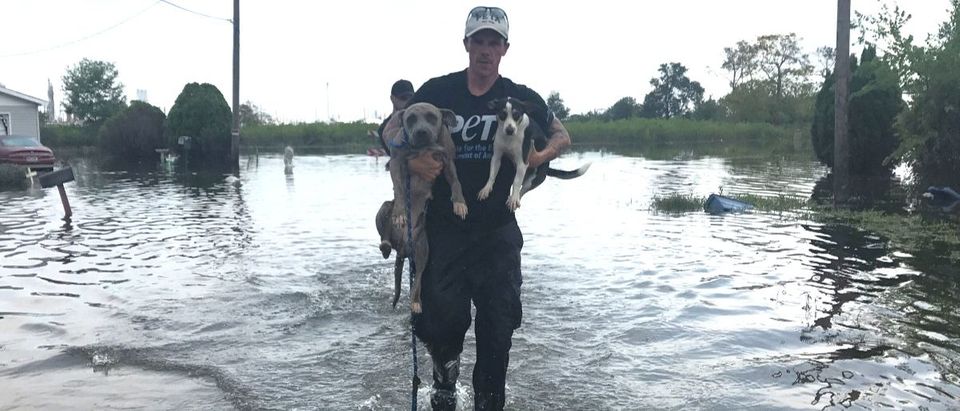 PETA at Hurricane Harvey. Photo courtesy of PETA