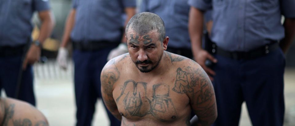 A Mara Salvatrucha (MS-13) gang member wait to be escorted upon their arrival at the maximum-security jail in Zacatecoluca