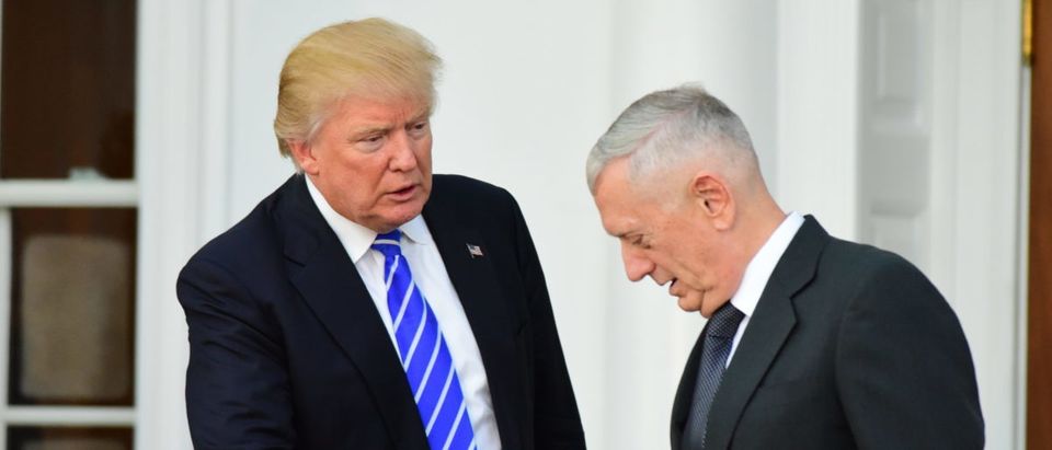 Defense Secretary James Mattis said the military would house any child separated from their parents in the ongoing border crisis if asked, in a statement Wednesday. (Photo: Shutterstock)