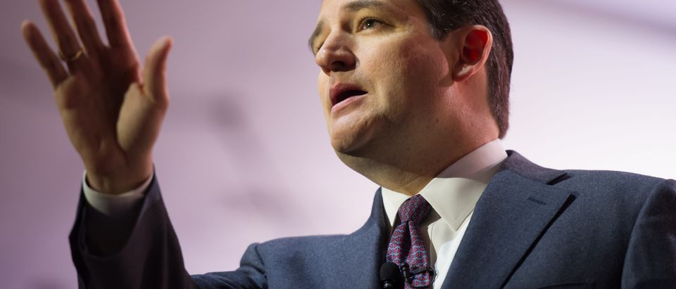 Republican Sen. Ted Cruz of Texas speaks at CPAC. (Shutterstock)