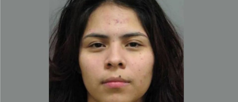 Josselin Ramirez, an Illegal immigrant and MS-13 gang member pleads guilty to charges of gang-related crimes. (Montgomery County Police)