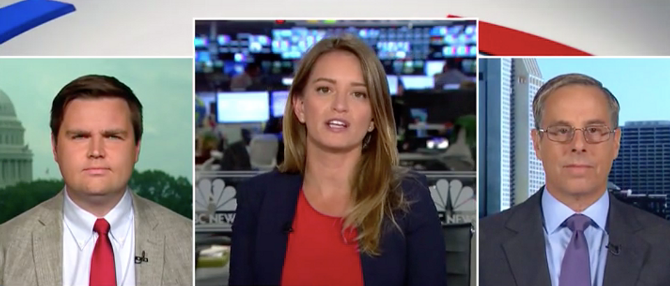 Katy Tur questions whether the Constitution is out of date. (MSNBC:Screenshot)