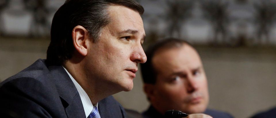 Republican Sen. Ted Cruz of Texas urged President Donald Trump to nominate Republican Sen. Mike Lee of Utah to the Supreme Court. (REUTERS/Jonathan Ernst)