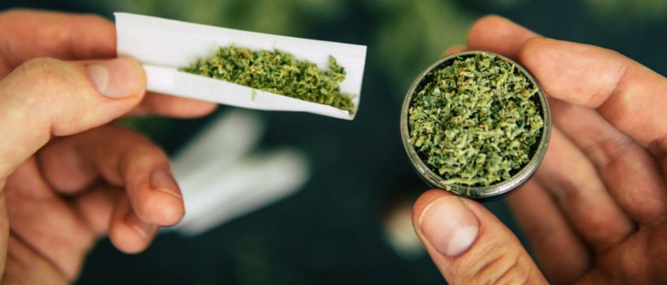 Joint rolled in hand of man and grinder Cones bud of marijuana flowers cannabis in hand of man black background (SHUTTERSTOCK: By Lifestyle discover)