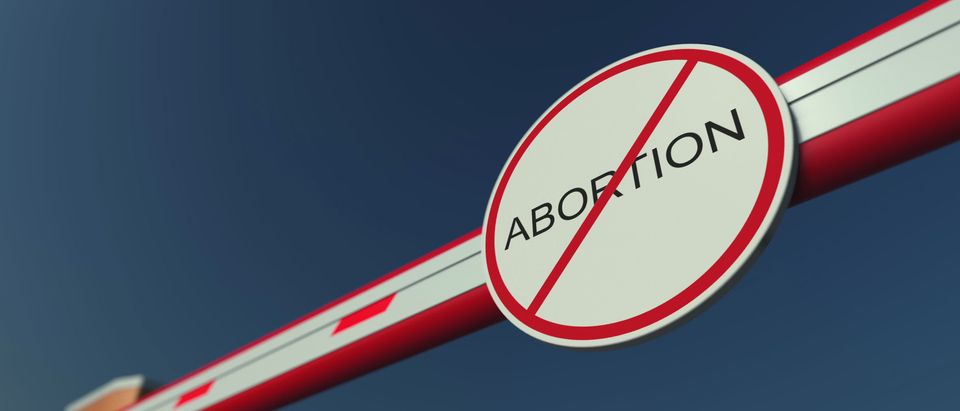 Ban on abortion (Shutterstock/Novikov Aleksey)