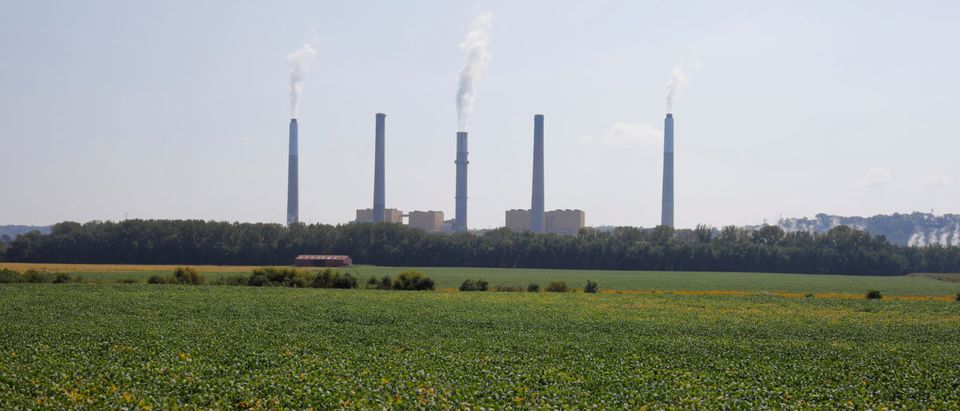 Soybeans grow in front of the Kentucky Utilities Ghent Generating Station, a coal-fired power-plant, along the Ohio River in Vevay