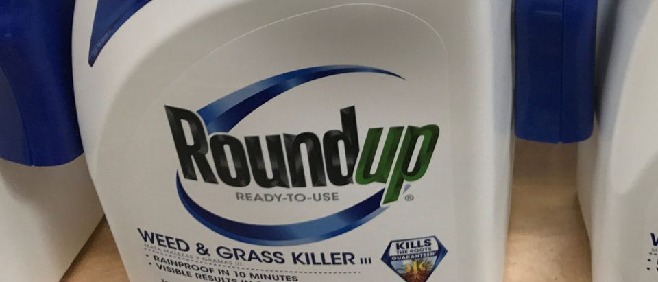 Monsanto Co's Roundup is shown for sale in Encinitas, California, U.S., June 26, 2017. REUTERS/Mike Blake/File Photo