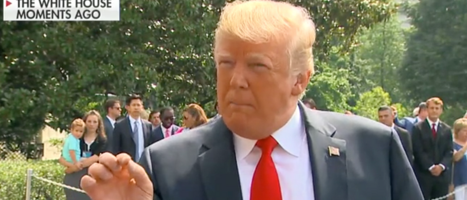 Trump addresses reporters on White House lawn./Screenshot