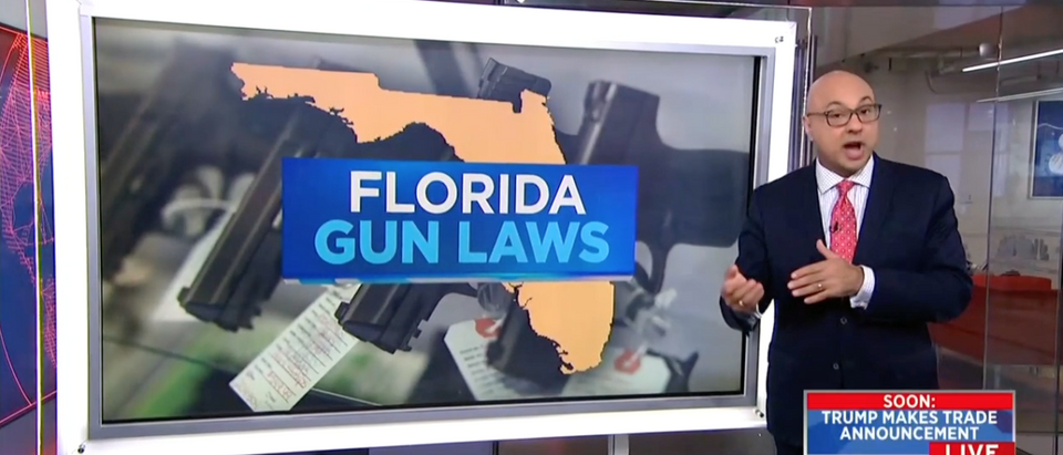 Ali Velshi Explains FL Gun Laws (MSNBC Screenshot: August 27, 2018)