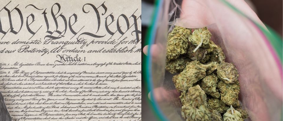 Constitution and marijuana, Shutterstock/ M. Cornelius and Michael Moloney