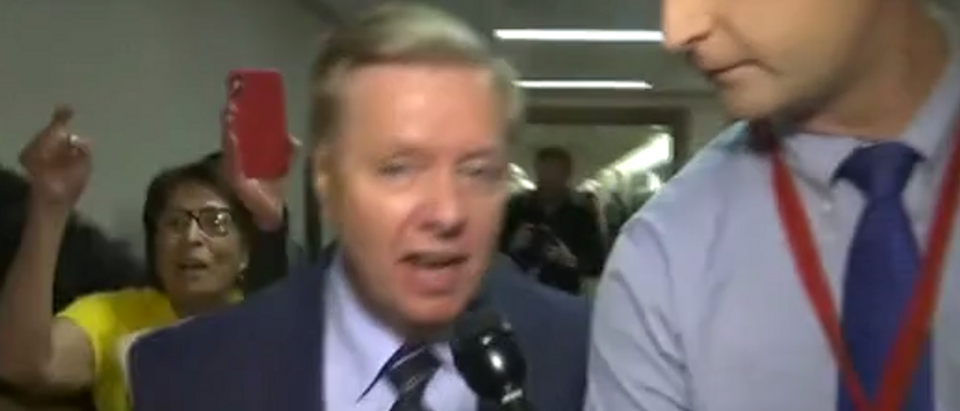 Protesters scream at Lindsey Graham following Kavanaugh hearing (Fox News screengrab)