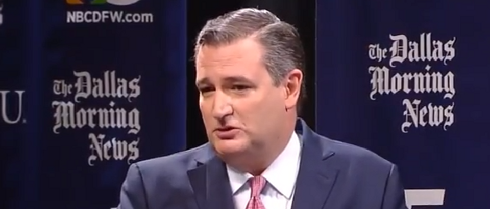Ted Cruz debates Democratic opponent (screengrab)