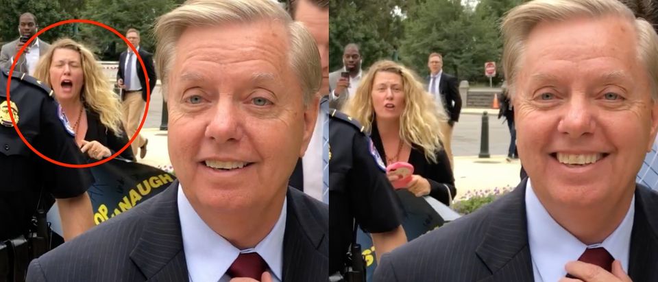 Protesters Chase Graham To His Car Saying They Will Remove Him From Office — Lindsey Responds, Benny Johnson/Daily Caller