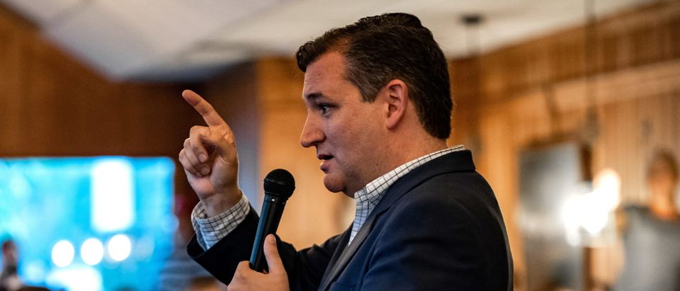 U.S. Senator Ted Cruz speaks to supporters inside Schobels' Restaurant in Columbus, Texas, U.S., Sept. 15, 2018. REUTERS/Sergio Flores/File Photo
