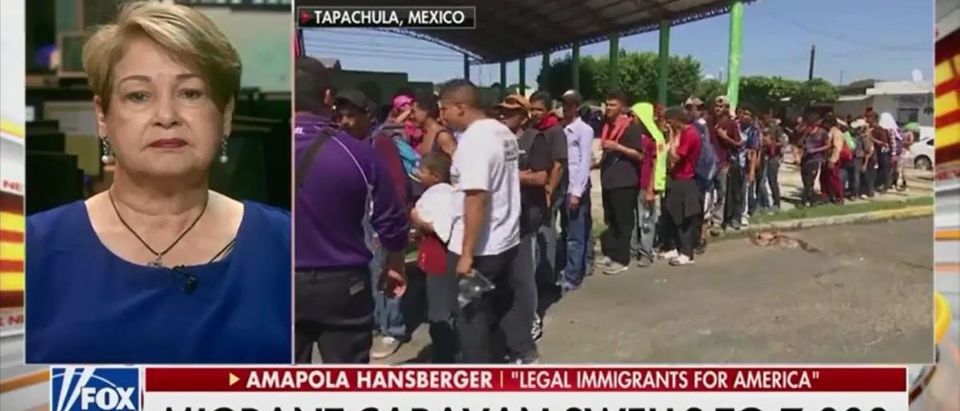 Legal Immigrant Explains How To Enter America The Right Way And Says Illegals Are A 'Threat To National Security' -- Fox & Friends 10-22-18 (Screenshot/Fox News)