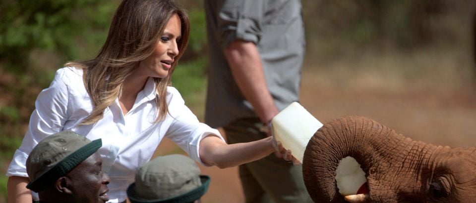 U.S. first lady Melania Trump feeds a baby elephant milk with a bottle, at the David Sheldrick Wildlife Trust elephant orphanage in Nairobi
