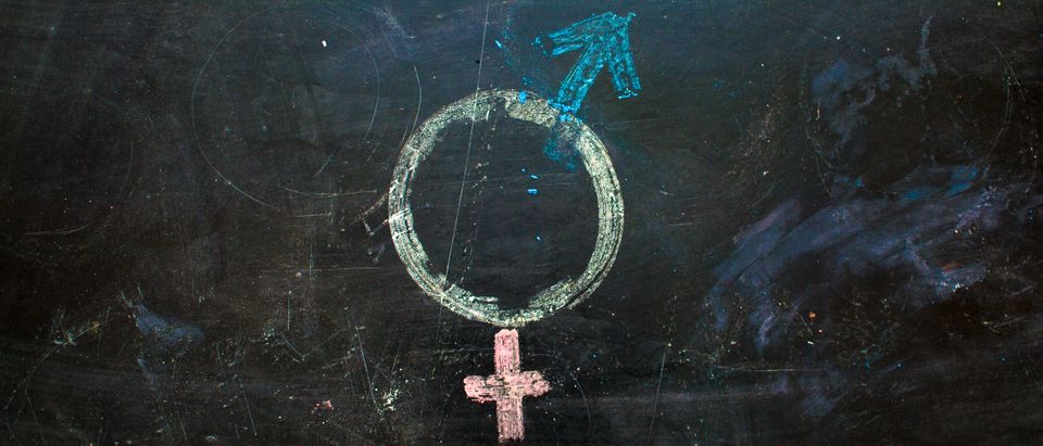 Gender equality symbol (Shutterstock/Larisa Rudenko)