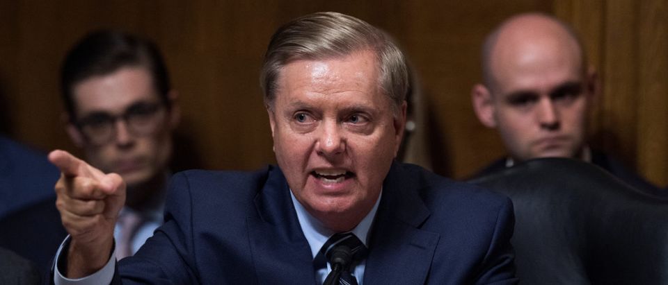 Sen. Lindsey Graham defends Judge Brett Kavanaugh during the Senate Judiciary Committee hearing on his nomination be an associate justice of the Supreme Court of the United States. (Tom Williams/Pool via REUTERS)
