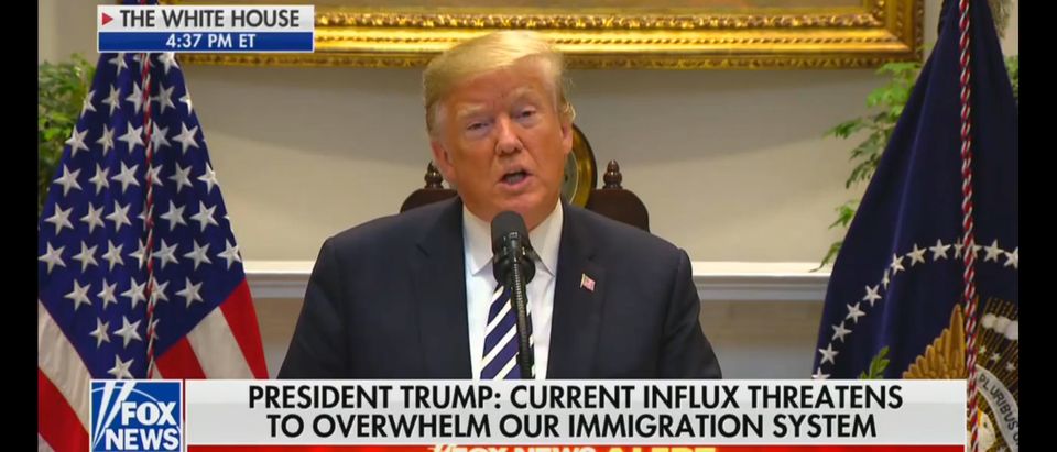President Donald Trump gives remarks on immigration./Screen Shot/Fox News