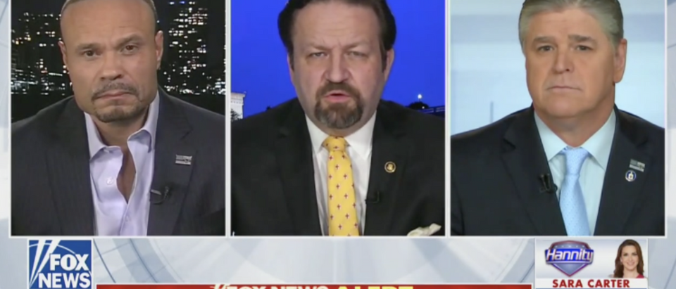 Dan Bongino, Sebastian Gorka and Sean Hannity (Fox News 11/8/2018)