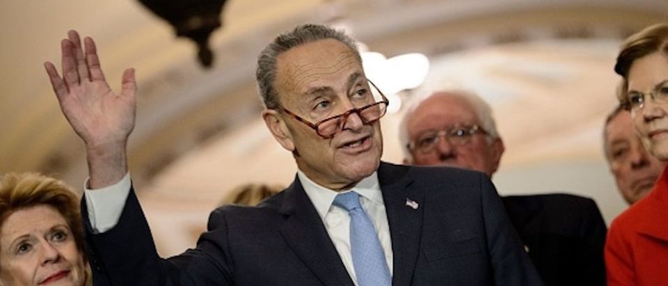 Senate Minority Leader Charles E. Schumer (D-NY) speaks to reporters after Democratic members of the Senate met to elect their leadership on Capitol Hill November 14, 2018 in Washington, DC
