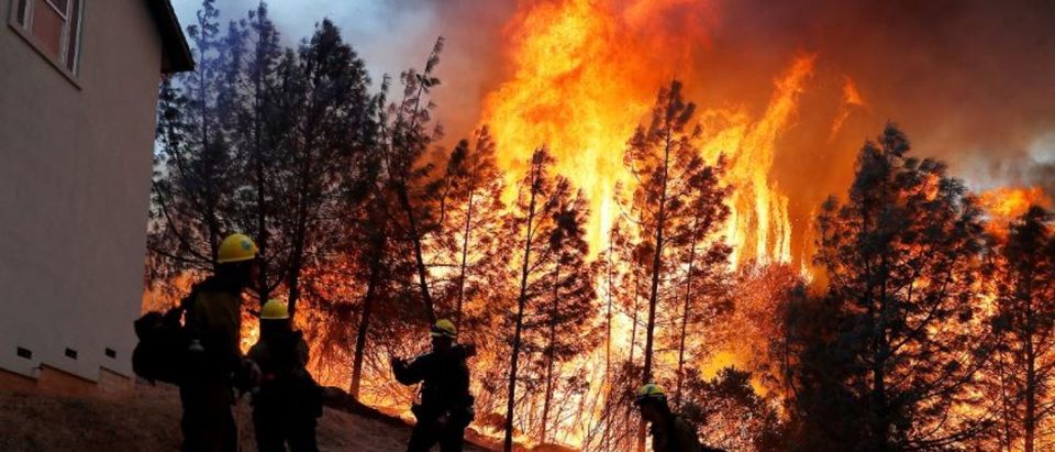 A group of U.S. Forest Service firefighters monitor a back fire while battling to save homes at the Camp Fire in Paradise, California, U.S. November 8, 2018. REUTERS/Stephen Lam