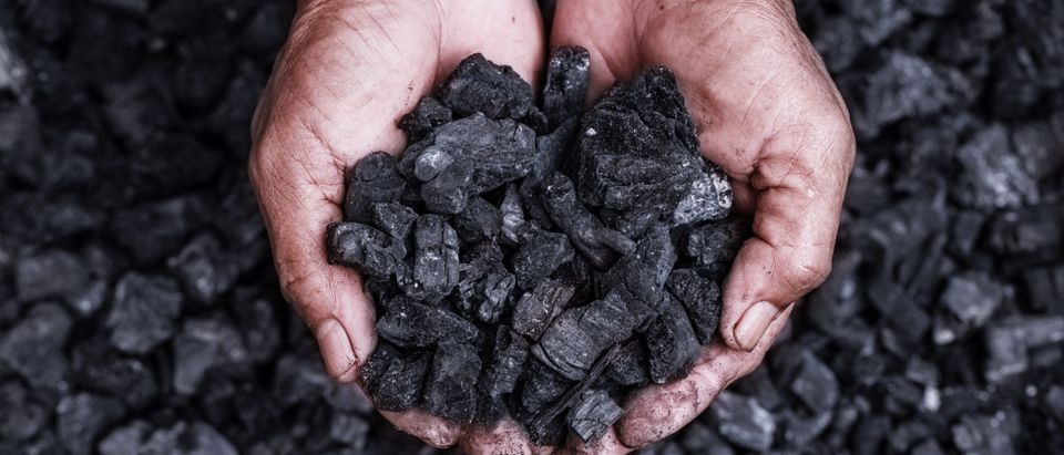 The steady decline of the U.S. coal industry is dragging down operations in the country's biggest coal-producing region: the Powder River Basin. Shutterstock