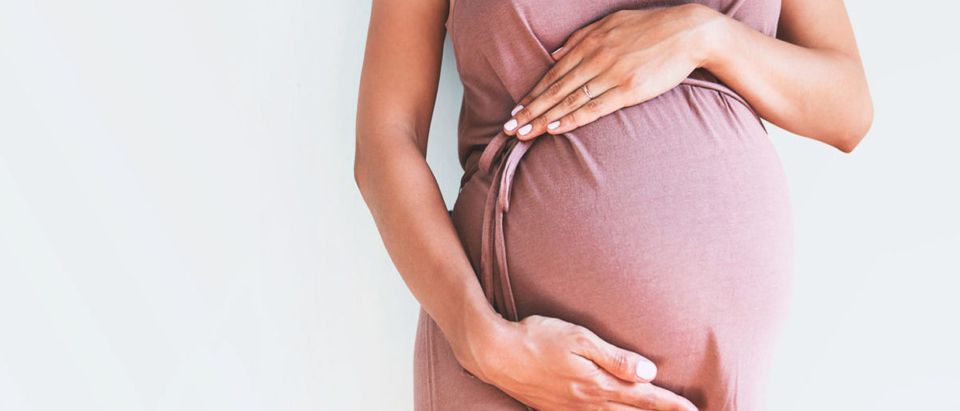 Pictured is a pregnant woman. (Shutterstock/ Natalia Deriabina)