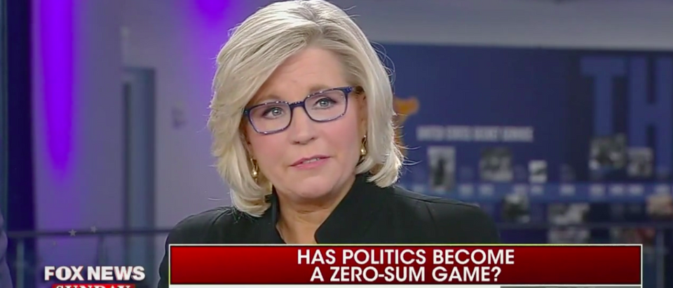Republican Rep. Liz Cheney of Wyoming sounded the alarm for Republicans to fight hard against socialist issues when Democrats take control of the House of Representatives after the new year. [Fox News/screen shot]