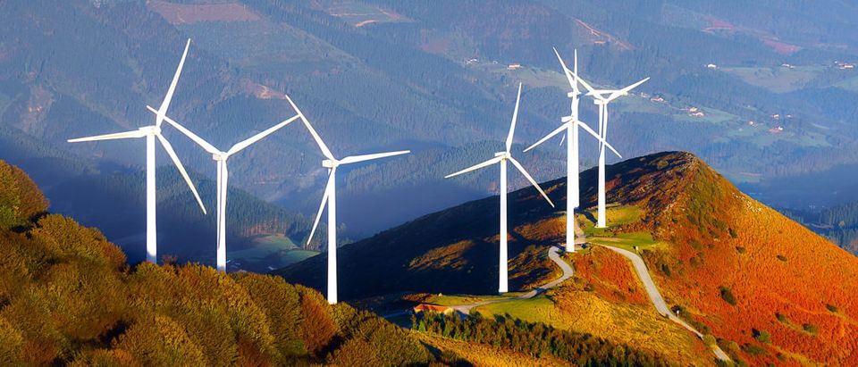 Wind Turbines. Shutterstock