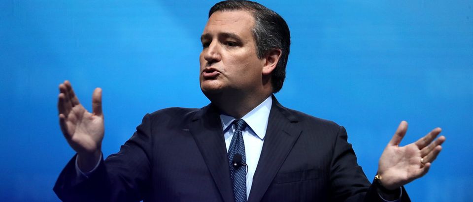 Sen. Ted Cruz speaks at the NRA-ILA Leadership Forum. (Justin Sullivan/Getty Images)