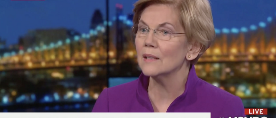 Sen. Elizabeth Warren on Rachel Maddow's show (MSNBC 1/2/2018)