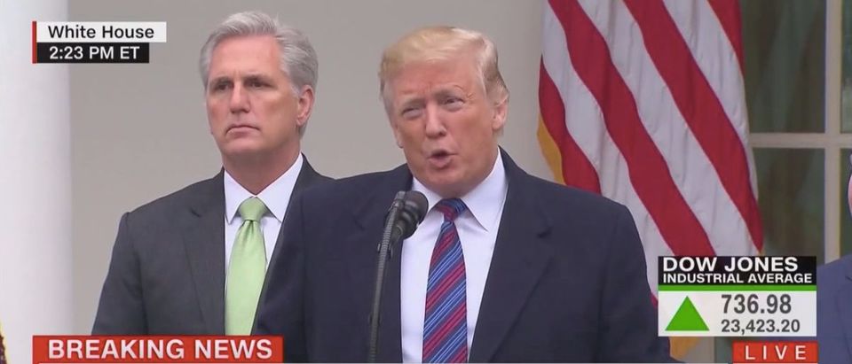President Donald Trump (CNN Screenshot: January 4, 2019)