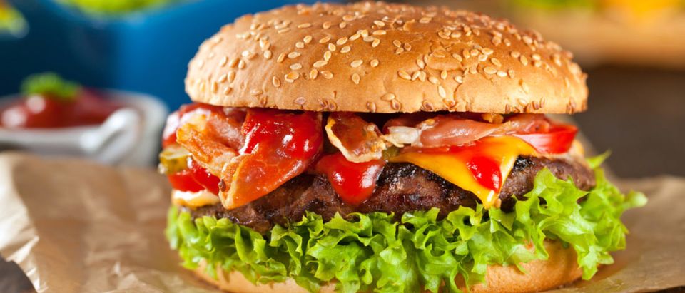 Burger (Credit: Shutterstock/KarepaStock)