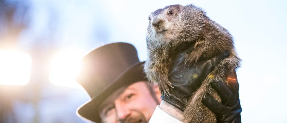 Punxsutawney Phil is held up by his handler for the crowd to see during the ceremonies for Groundhog day on February 2, 2018 in Punxsutawney, Pennsylvania. (Photo by Brett Carlsen/Getty Images)