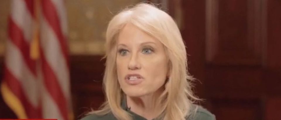 Kellyanne Conway Speaks About Alleged Assault At Restaurant The Daily