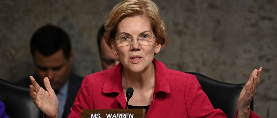 Senator Elizabeth Warren (D-MA) questions panelists testifying before Senate Armed Services subcommittees on the Military Housing Privatization Initiative in Washington, U.S. February 13, 2019. REUTERS/Erin Scott