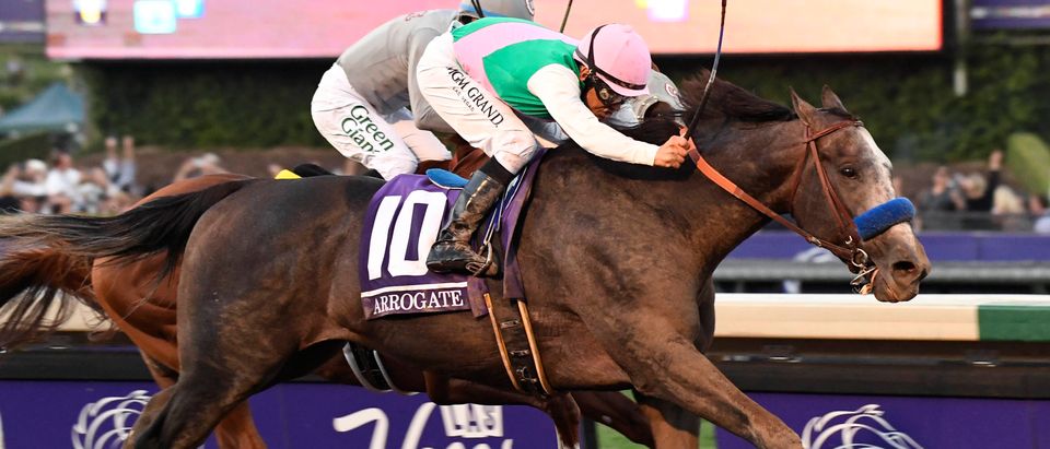 Horse Racing: 33rd Breeders Cup World Championships