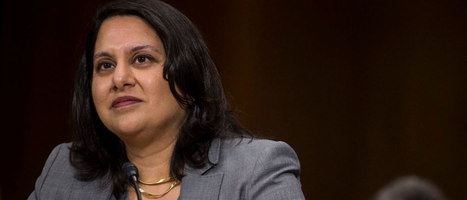 Neomi Rao, President Donald Trump's nominee for the U.S. Court of Appeals for the D.C. Circuit, testifies before the Senate Judiciary Committee on Feb. 5, 2019. (Zach Gibson/Getty Images)