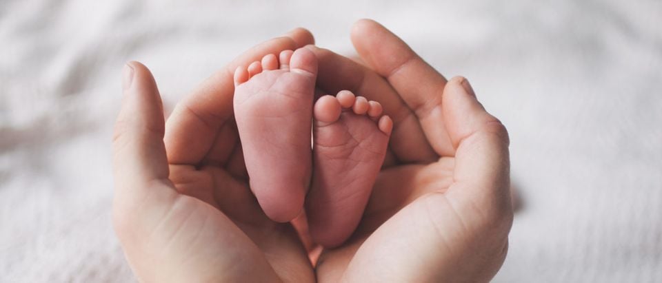 CNN quietly removed the phrase "a fetus that was born" from a CNN report on pro-life legislation following coverage from conservative media outlets. Shutterstock image via user MakeStory Studio