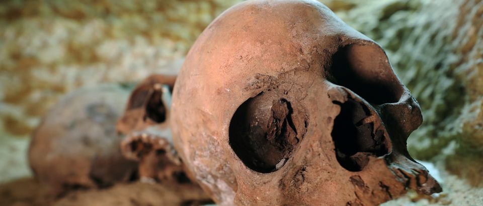 Skulls are seen inside the recently discovered burial site in Minya